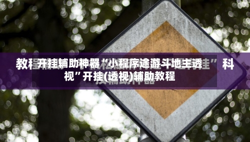 开挂辅助神器“小程序途游斗地主透视”开挂(透视)辅助教程-第1张图片