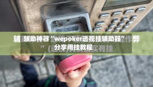 辅助神器“wepoker透视挂辅助器	”分享用挂教程-第2张图片