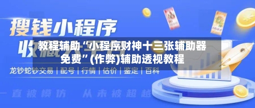 教程辅助“小程序财神十三张辅助器免费”(作弊)辅助透视教程-第3张图片