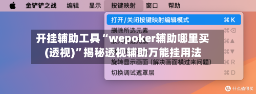 开挂辅助工具“wepoker辅助哪里买(透视)”揭秘透视辅助万能挂用法-第1张图片