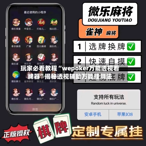 玩家必看教程“wepoker万能透视看牌器	”揭秘透视辅助万能挂用法-第3张图片