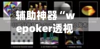 辅助神器“wepoker透视挂辅助器”(透视)详细透视辅助教程-第1张图片