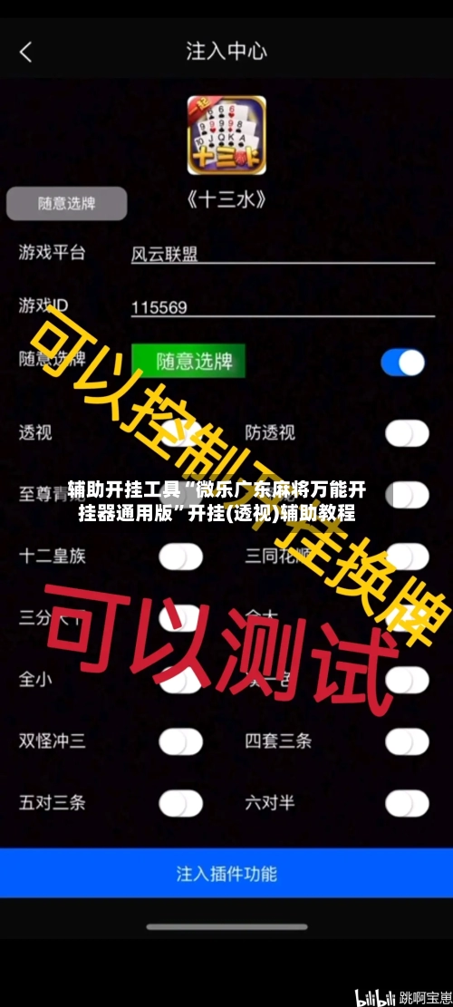 辅助开挂工具“微乐广东麻将万能开挂器通用版	”开挂(透视)辅助教程-第2张图片