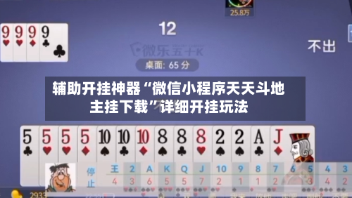 辅助开挂神器“微信小程序天天斗地主挂下载	”详细开挂玩法-第2张图片