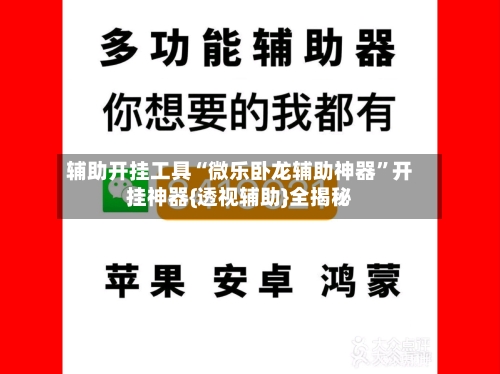 辅助开挂工具“微乐卧龙辅助神器”开挂神器{透视辅助}全揭秘-第3张图片