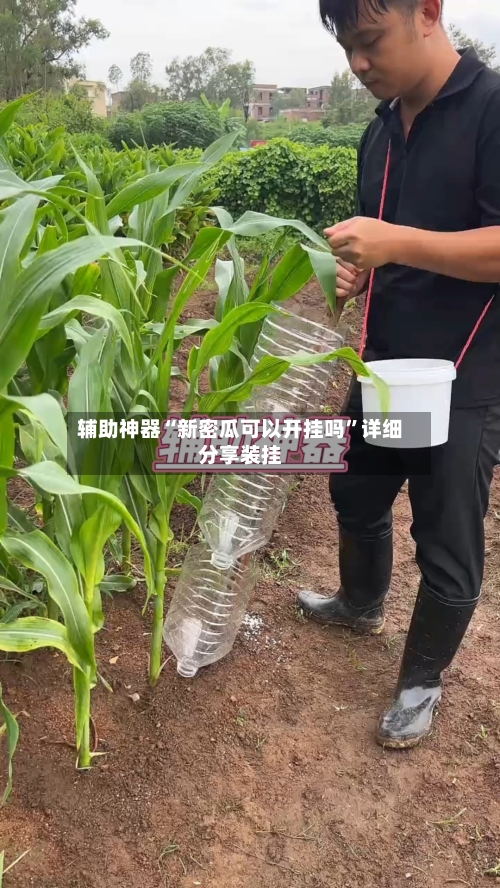 辅助神器“新密瓜可以开挂吗”详细分享装挂-第1张图片