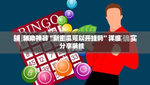 辅助神器“新密瓜可以开挂吗”详细分享装挂-第3张图片