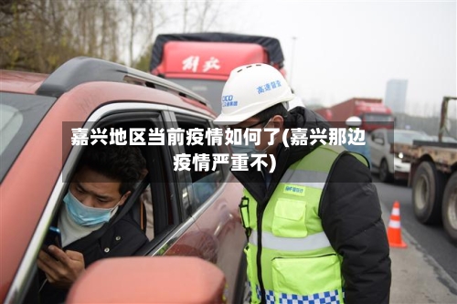 嘉兴地区当前疫情如何了(嘉兴那边疫情严重不)-第3张图片