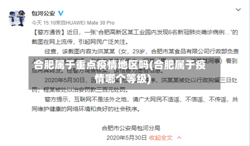 合肥属于重点疫情地区吗(合肥属于疫情哪个等级)-第1张图片
