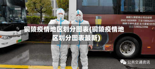 铜陵疫情地区划分图表(铜陵疫情地区划分图表最新)-第2张图片