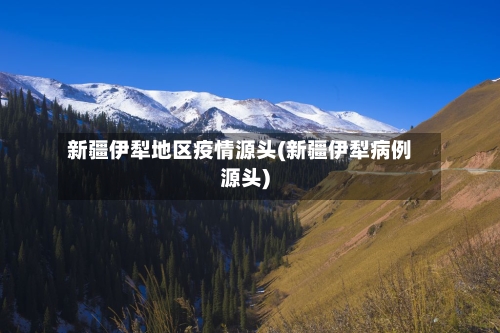 新疆伊犁地区疫情源头(新疆伊犁病例源头)-第2张图片