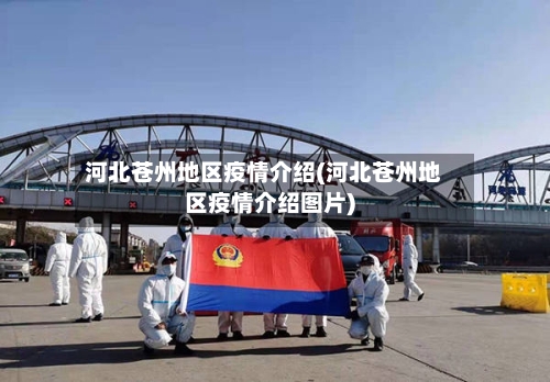 河北苍州地区疫情介绍(河北苍州地区疫情介绍图片)-第1张图片