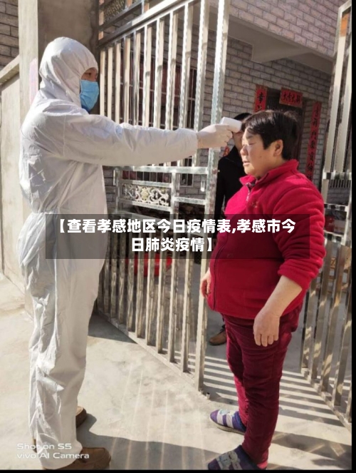 【查看孝感地区今日疫情表,孝感市今日肺炎疫情】-第1张图片
