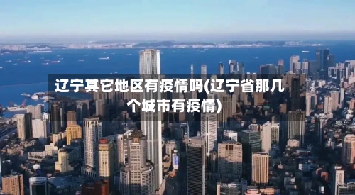 辽宁其它地区有疫情吗(辽宁省那几个城市有疫情)-第2张图片