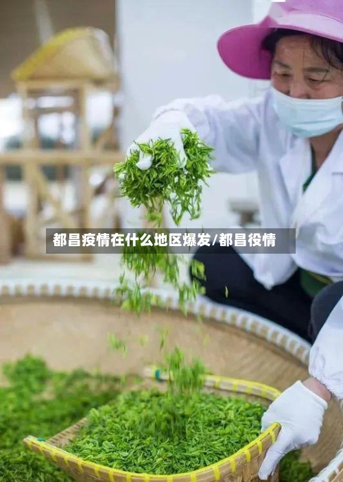 都昌疫情在什么地区爆发/都昌役情-第2张图片