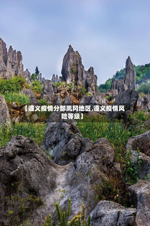 【遵义疫情分部凤冈地区,遵义疫情风险等级】-第1张图片
