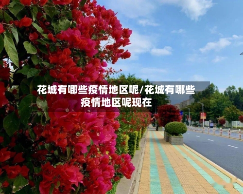 花城有哪些疫情地区呢/花城有哪些疫情地区呢现在-第2张图片