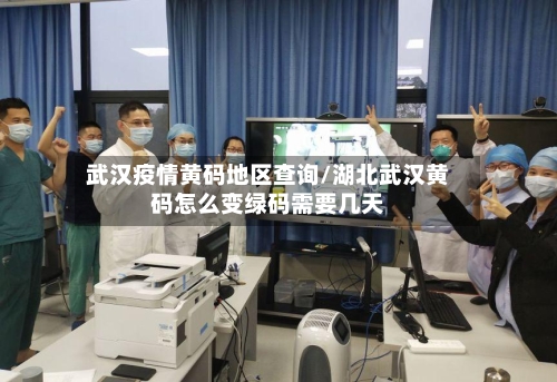 武汉疫情黄码地区查询/湖北武汉黄码怎么变绿码需要几天-第1张图片
