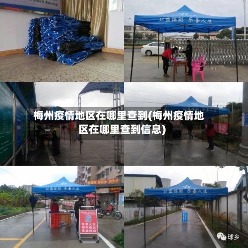 梅州疫情地区在哪里查到(梅州疫情地区在哪里查到信息)-第1张图片
