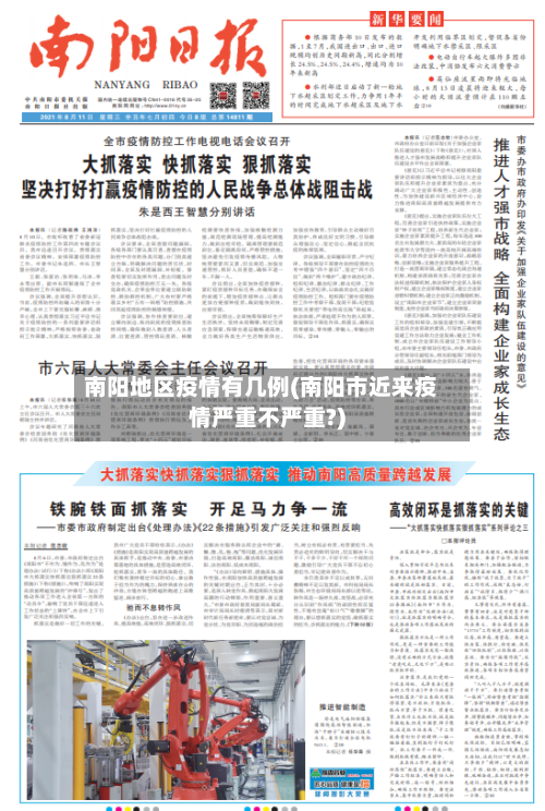 南阳地区疫情有几例(南阳市近来疫情严重不严重?)-第2张图片