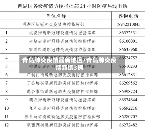 青岛肺炎疫情最新地区/青岛肺炎疫情新增3例-第2张图片