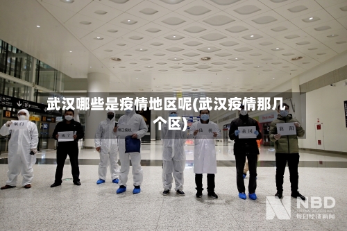 武汉哪些是疫情地区呢(武汉疫情那几个区)-第3张图片