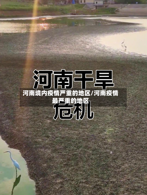 河南境内疫情严重的地区/河南疫情最严重的地区-第3张图片
