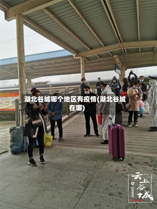 湖北谷城哪个地区有疫情(湖北谷城在哪)-第2张图片