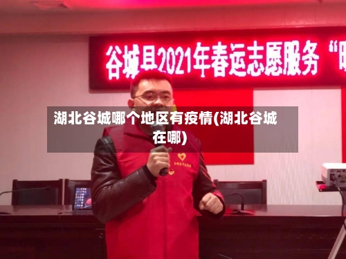 湖北谷城哪个地区有疫情(湖北谷城在哪)-第3张图片