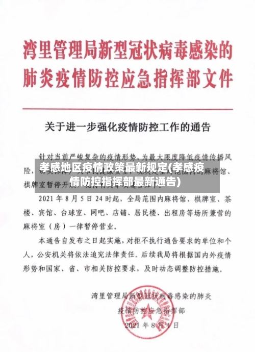 孝感地区疫情政策最新规定(孝感疫情防控指挥部最新通告)-第3张图片