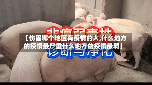 【伤害哪个地区有疫情的人,什么地方的疫情最严重什么地方的疫情最弱】-第1张图片