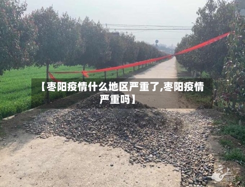 【枣阳疫情什么地区严重了,枣阳疫情严重吗】-第1张图片