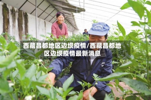 西藏昌都地区边坝疫情/西藏昌都地区边坝疫情最新消息-第1张图片