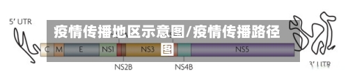 疫情传播地区示意图/疫情传播路径图-第1张图片