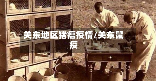 关东地区猪瘟疫情/关东鼠疫-第2张图片