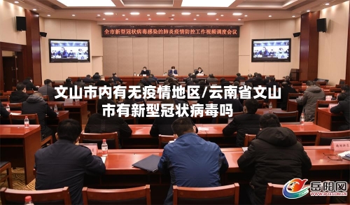 文山市内有无疫情地区/云南省文山市有新型冠状病毒吗-第2张图片