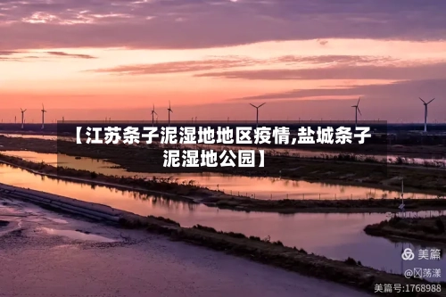 【江苏条子泥湿地地区疫情,盐城条子泥湿地公园】-第2张图片