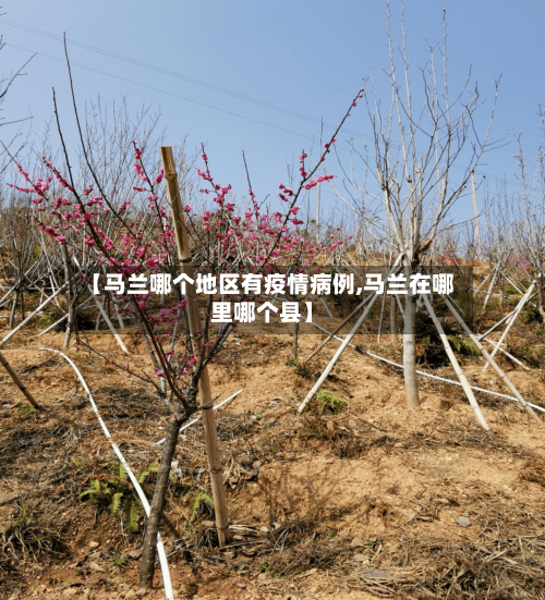 【马兰哪个地区有疫情病例,马兰在哪里哪个县】-第2张图片