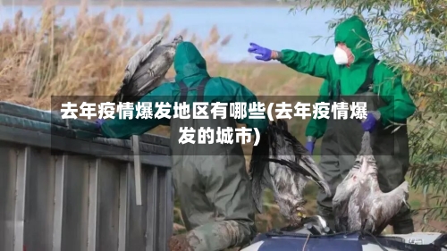 去年疫情爆发地区有哪些(去年疫情爆发的城市)-第3张图片