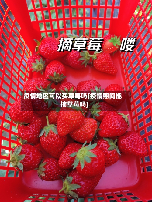 疫情地区可以买草莓吗(疫情期间能摘草莓吗)-第1张图片