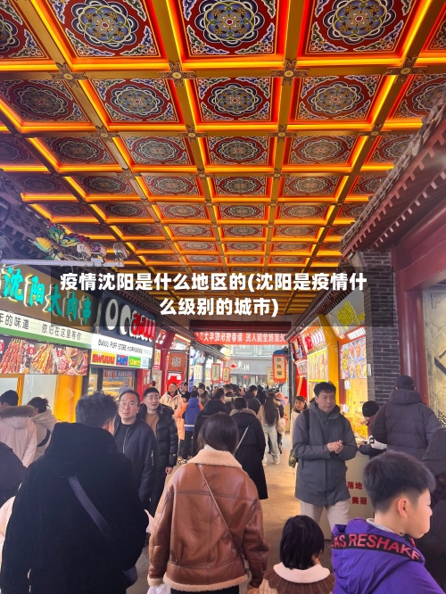 疫情沈阳是什么地区的(沈阳是疫情什么级别的城市)-第1张图片