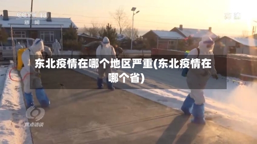 东北疫情在哪个地区严重(东北疫情在哪个省)-第1张图片