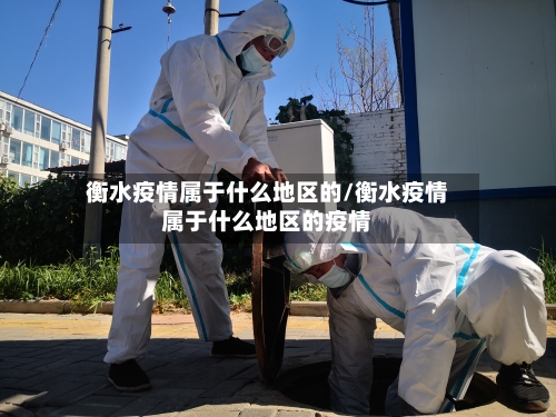 衡水疫情属于什么地区的/衡水疫情属于什么地区的疫情-第2张图片